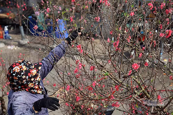 Du bao thoi tiet 7/2, mien Bac nang am truoc khi don khong khi lanh