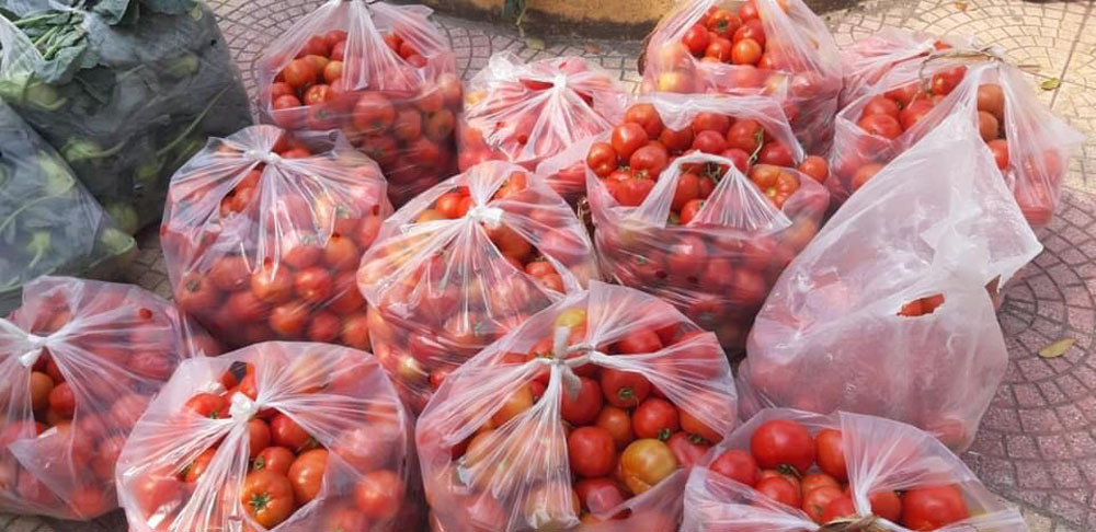 Giai cuu Hai Duong: Nu giam doc ca ngay boc vac, ong chu bien showroom o to thanh vua rau cu-Hinh-12