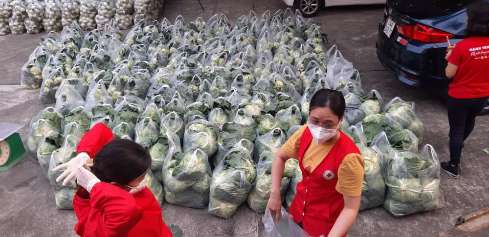 Giai cuu Hai Duong: Nu giam doc ca ngay boc vac, ong chu bien showroom o to thanh vua rau cu-Hinh-13