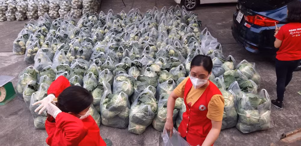 Giai cuu Hai Duong: Nu giam doc ca ngay boc vac, ong chu bien showroom o to thanh vua rau cu-Hinh-13