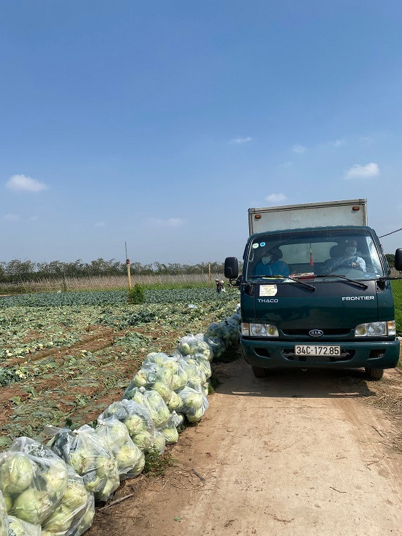 Giai cuu Hai Duong: Nu giam doc ca ngay boc vac, ong chu bien showroom o to thanh vua rau cu-Hinh-5