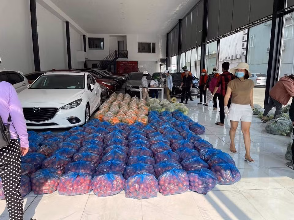 Giai cuu Hai Duong: Nu giam doc ca ngay boc vac, ong chu bien showroom o to thanh vua rau cu-Hinh-2