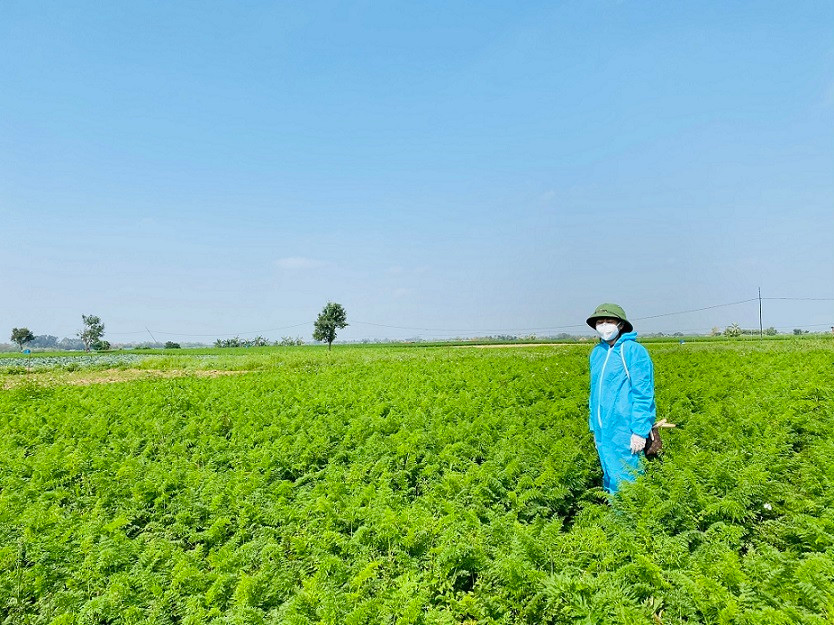 Giai cuu Hai Duong: Nu giam doc ca ngay boc vac, ong chu bien showroom o to thanh vua rau cu-Hinh-9