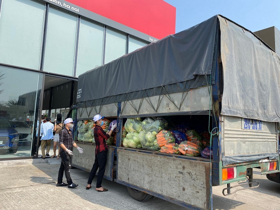 Giai cuu Hai Duong: Nu giam doc ca ngay boc vac, ong chu bien showroom o to thanh vua rau cu-Hinh-4