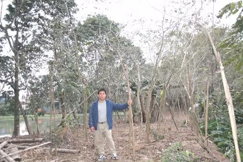 Dao co duoc tai tao o Thanh pho Thanh Hoa-Hinh-3