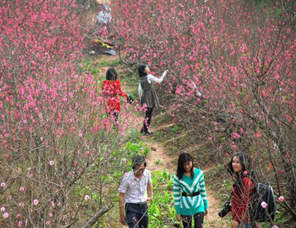 3 ngay Tet: nang hung, mua xuan, khong ret dam