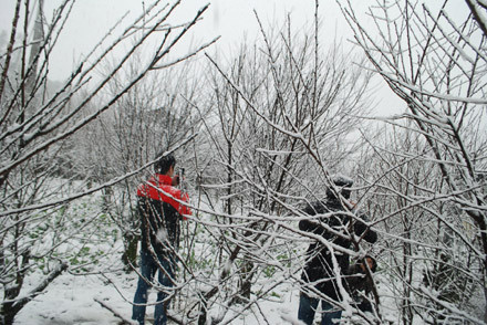 Mùa đông năm nay Việt Nam đã có 2 đợt tuyết rơi.