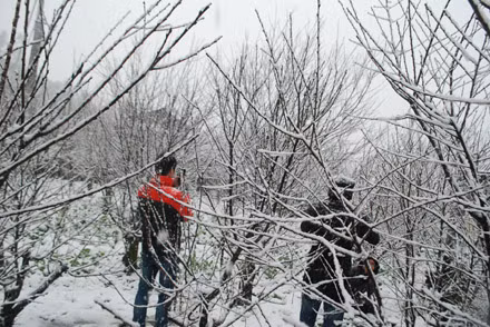 Mùa đông năm nay Việt Nam đã có 2 đợt tuyết rơi.