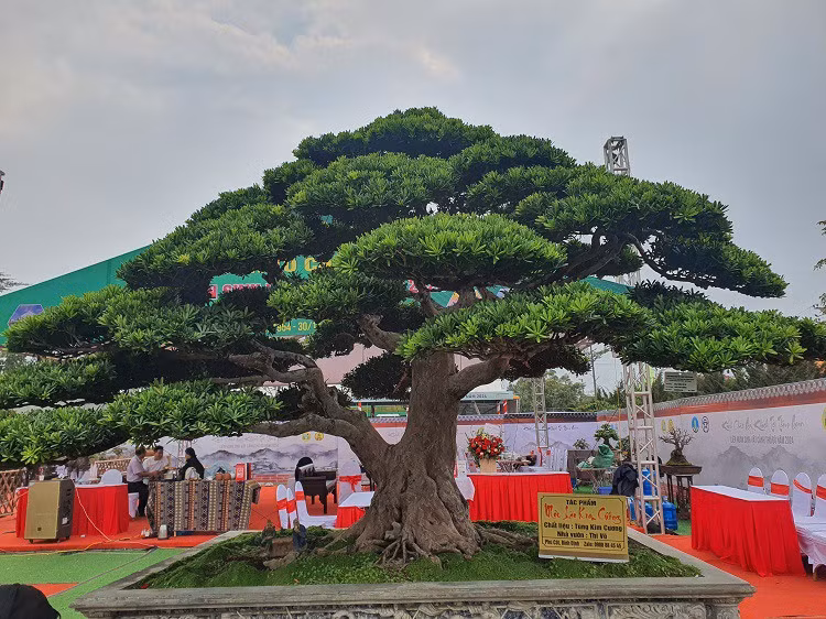 Theo anh Thi, tại triển lãm lần này, anh mang tổng cộng 5 "báu vật" của gia đình từ Bình Định ra Hà Nội tham dự. Trong đó, tác phẩm Mộc Lão Kim Cương có giá trị nhất được đặt ngay lối đi vào.