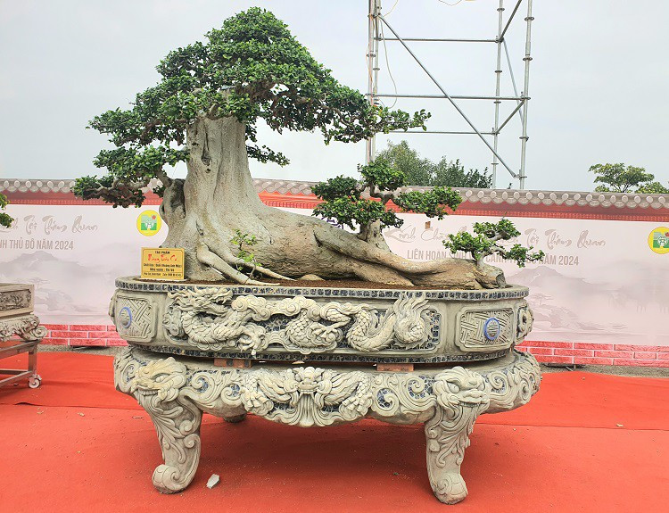 Tác phẩm "Nàng tiên cá" của anh Võ Thanh Thi đến từ Phù Cát (Bình Định) được trả giá 2,5 tỷ đồng tại triển lãm nhưng anh Thi không bán. Anh định giá khoảng 3,5 tỷ đồng.