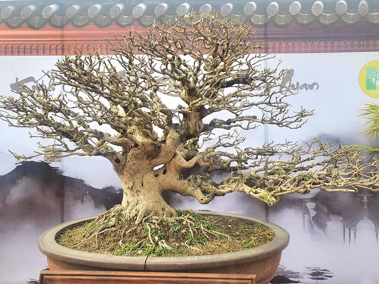 Một tác phẩm hoa giấy được anh Chiến mua với giá 250 triệu đồng cũng được anh mang ra triển lãm.