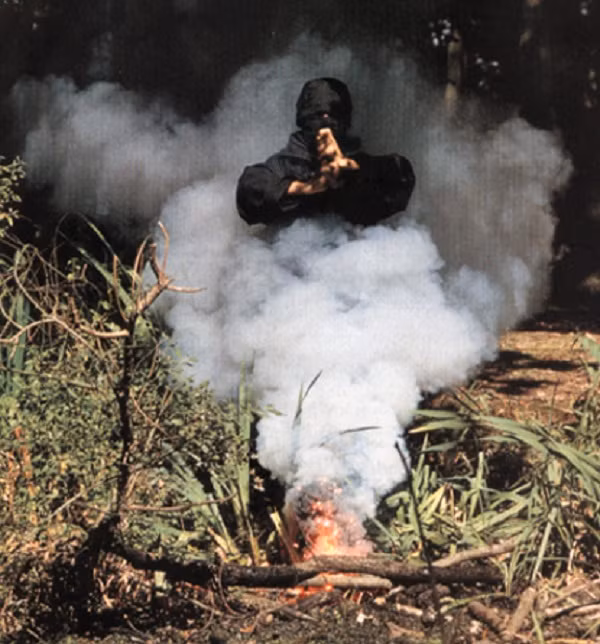 Cho đến nay, giới chuyên gia vẫn chưa xác định được Ninja bắt đầu xuất hiện ở Nhật Bản từ bao giờ nhưng môn võ Ninjutsu đã có lịch sử ra đời và phát triển vào khoảng những năm 600 - 900.