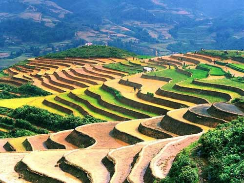 Hiện Sapa là điểm đến hấp dẫn khách du lịch. Đây cũng là một thị trấn nhỏ hấp dẫn, với nhiều đồi dốc.