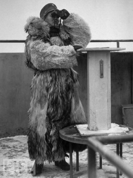 Tại Phần Lan, khoảng 242.000 phụ nữ tham gia tổ chức tình nguyện bán quân sự lớn nhất thế giới Lotta – Svard (tên tổ chức đặt theo tên của một nữ anh hùng Phần Lan).