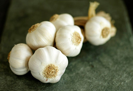 Vào thời xa xưa, người Ai Cập, La Mã cổ đại... đã sử dụng tỏi để xua đuổi tà ma, trong đó có cả ma cà rồng nhằm bảo vệ an toàn cho bản thân và cho họ lòng dũng cảm. Bởi lẽ, ma cà rồng rất sợ mùi tỏi.