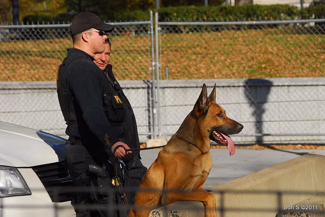 Tất cả người muốn vào Nhà Trắng phải trải qua những biện pháp kiểm tra an ninh. Ngay cả những vị khách đến Nhà Trắng cũng phải đi qua một thiết bị đo từ để đảm bảo an toàn giống như những người khác.