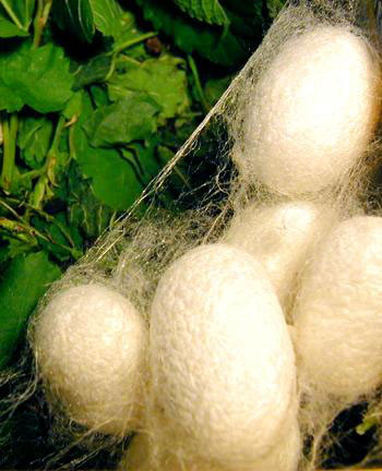 Luy Tổ sinh ra ở Xiling cổ đại. Tên thời con gái của bà là Wang Feng. Khi còn nhỏ, bà phát hiện ra một con sâu ăn lá dâu và nhả ra tơ kén.