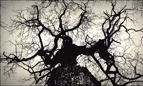 Ya-te-veo sẽ ăn thịt bất cứ người nào đi qua chỗ nó. Trên thực tế, những nhà thám hiểm rất muốn tìm hiểu sự tồn tại của loài cây kỳ quái này trong đời sống thực.