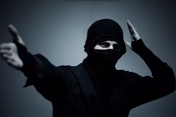 Ninjutsu bao gồm những phương pháp và kỹ thuật đặc biệt để chế ngự đối phương một cách nhẹ nhàng trong các trận chiến. Theo một số tài liệu, môn võ Ninjutsu có nguồn gốc từ vùng Honshu, Nhật Bản.