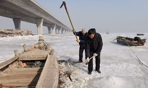 Mặc dù được đưa đến bệnh viện cấp cứu nhưng chính trị gia Trostky đã tử vong ngay ngày hôm sau vì chấn thương não nghiêm trọng.