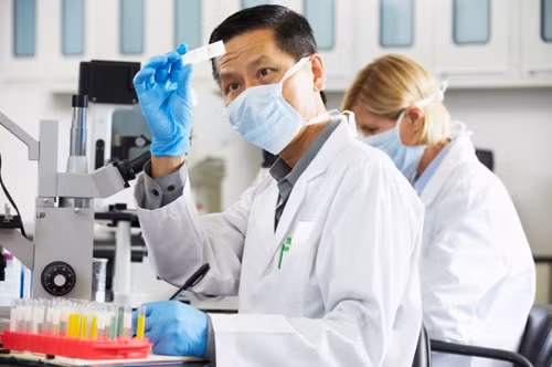 Về nghề nghiệp: Những người sinh ngày 11/9 thường khá hợp với công việc nghiên cứu, tư vấn đầu tư và kinh doanh.