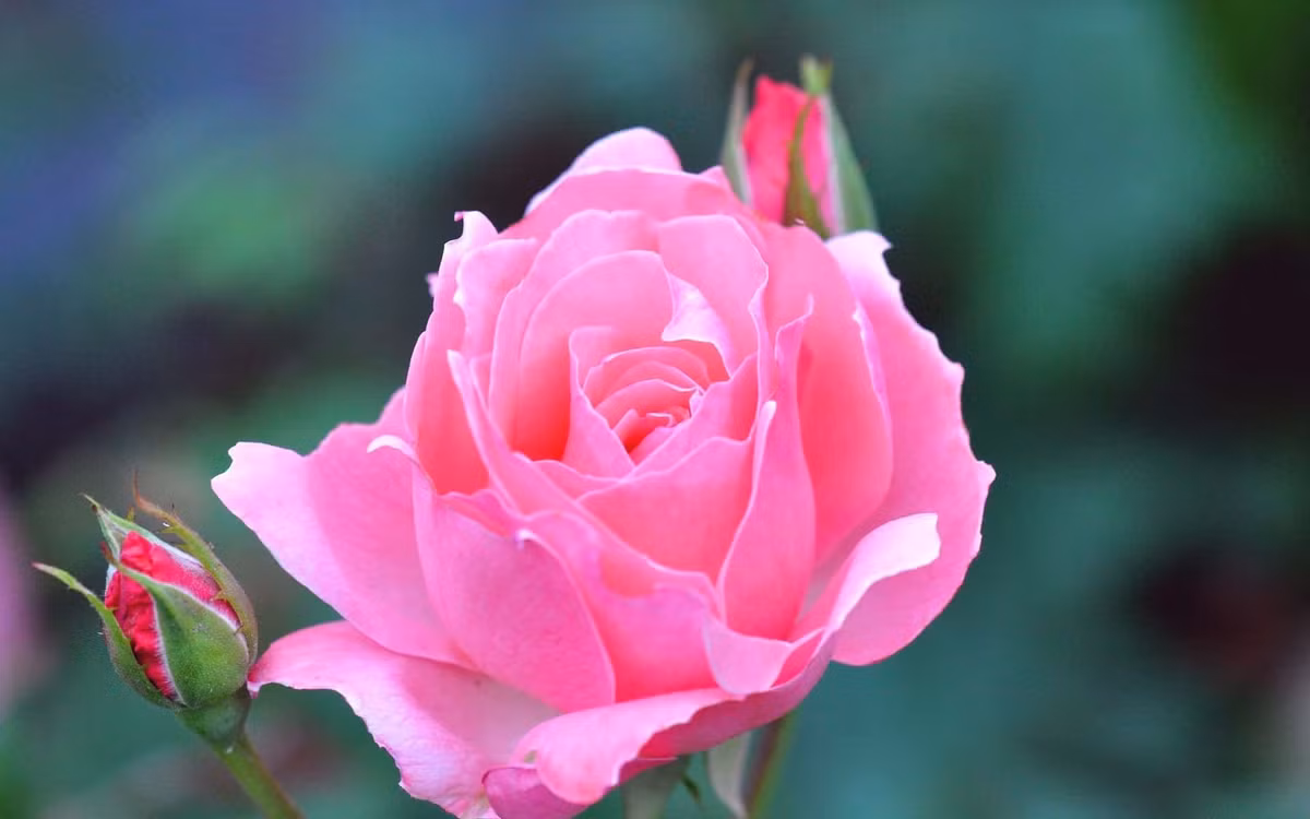 3 thang Am lich vuong phat, nguoi sinh vao la huong loc vang-Hinh-2