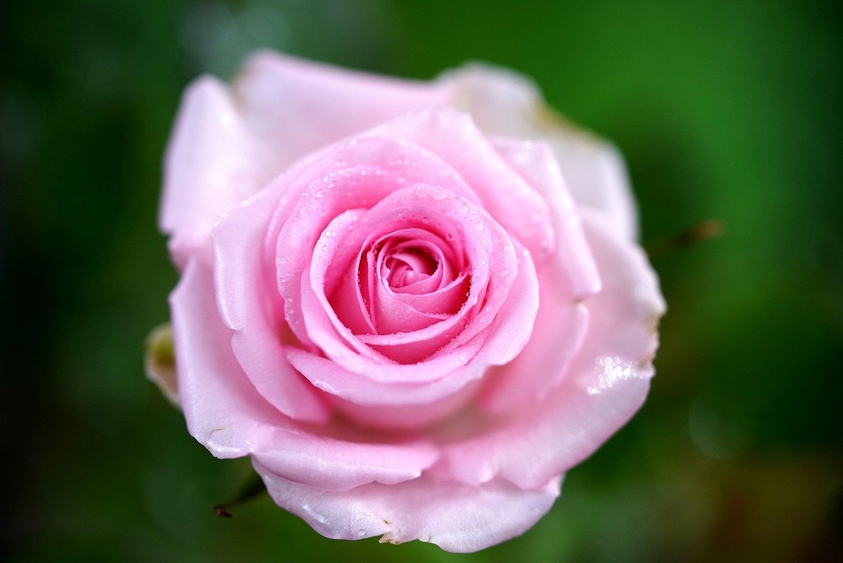 3 tháng Âm lịch vượng phát, người sinh vào là hưởng lộc vàng - Hình 3 3 thang Am lich vuong phat, nguoi sinh vao la huong loc vang-Hinh-3