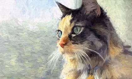  Theo tử vi 12 con giáp, trong tháng 3 Âm lịch, người tuổi Mão sẽ đón nhận những cơ hội tốt, giúp họ nâng cao vị thế và chỗ đứng của bản thân. Đặc biệt, vào tuần tới, may mắn sẽ đến với họ. 