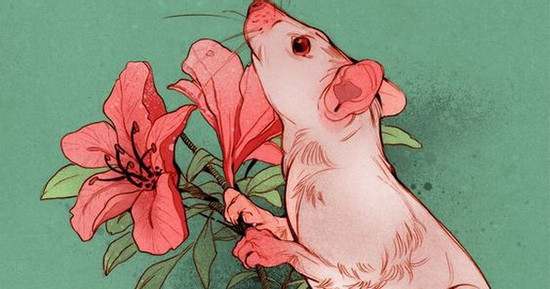 Với những người thuộc tuổi Tý đang khao khát chuyển đổi ngành nghề, đây chính là thời điểm lý tưởng để dũng cảm bước đi bước đầu tiên và thử sức. Họ nên tích cực tham gia các sự kiện giao lưu ngành nghề, học hỏi kiến thức chuyên môn và kỹ năng thực hành của ngành mới một cách có hệ thống, đồng thời tìm kiếm điểm kết nối trong hợp tác liên ngành. 