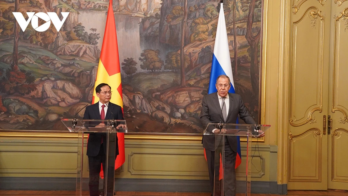 Tang cuong hon nua quan he song phuong Viet Nam-Lien bang Nga-Hinh-2