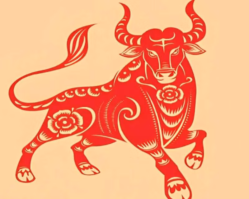 Tuổi Sửu – Giai đoạn củng cố &amp; tích lũy cực kỳ hiệu quả: Sinh năm: 1985 (Ất Sửu), 1997 (Đinh Sửu). Thời điểm tốt: Cuối tháng 5 – tháng 6/2025. 