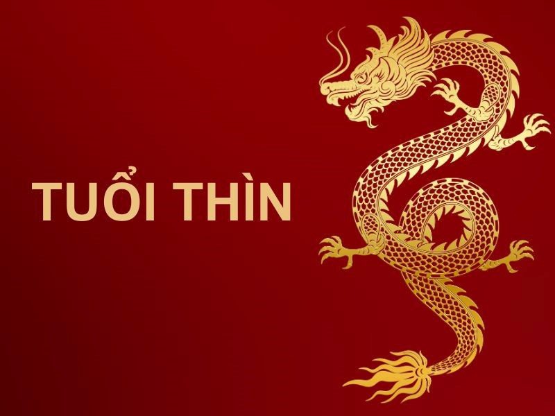 Tuổi Thìn – Đầu tư đúng lúc, dễ có bước đột phá: Sinh năm: 1988 (Mậu Thìn), 2000 (Canh Thìn). Thời điểm vàng: Tháng 4 đến đầu tháng 6/2025.