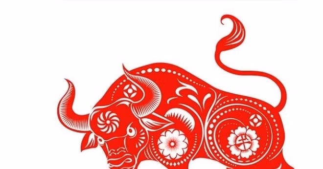 Sự kiên định và kiên nhẫn của họ cho phép họ tận hưởng thành quả lao động chăm chỉ trong những năm cuối đời mà không cần phải dựa dẫm vào người khác.