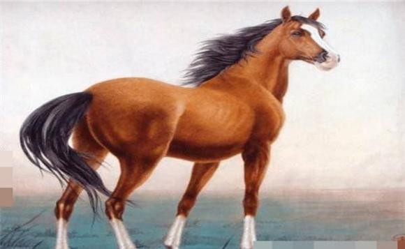  Với những người tuổi Ngọ đang làm trong công xưởng hoặc làm văn phòng chỉ cần họ chăm chỉ, biết sáng tạo đúng lúc, thì họ nhất định sẽ được nhận những khoản tiền thưởng hậu hĩnh khiến ai cũng phải ngưỡng mộ.