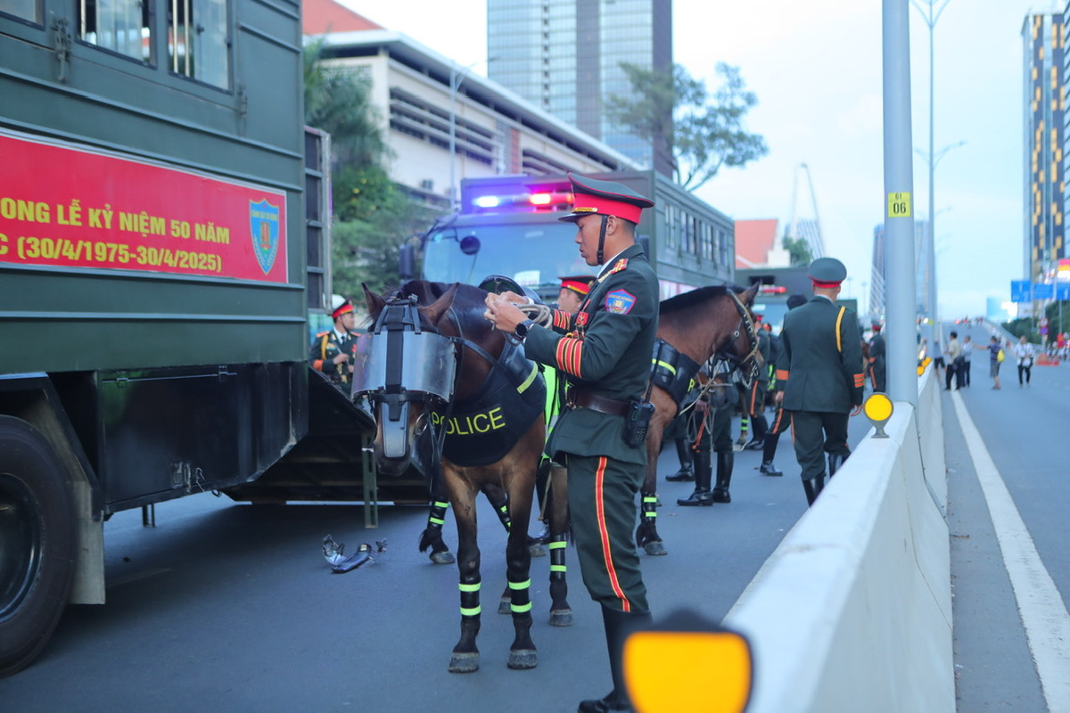 Chăm chút những chú ngựa nghiệp vụ, sẵn sàng cho buổi hợp luyện