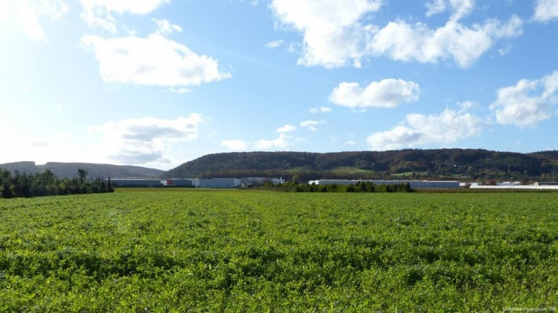 Trong The chien II, tu binh Duc quoc xa duoc doi xu the nao?-Hinh-2