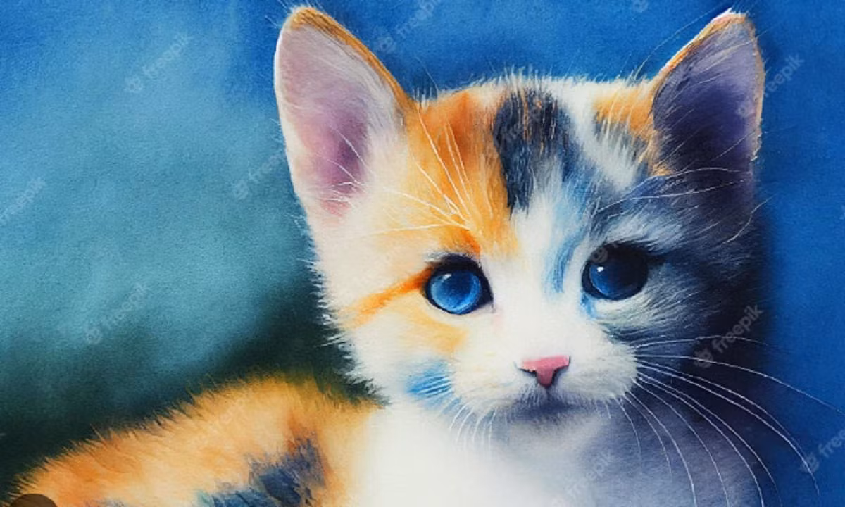 Ngoài ra, tuổi Mão còn dễ gặp quý nhân trong các mối quan hệ xã hội. Có thể chỉ là một buổi trò chuyện tình cờ, nhưng lại mở ra cơ hội hợp tác hoặc đầu tư có lời. Không chỉ kiếm tiền giỏi, tuổi Mão còn rất biết giữ tiền – mỗi đồng chi ra đều có tính toán rõ ràng, giúp tài sản gia đình ngày càng vững chắc.