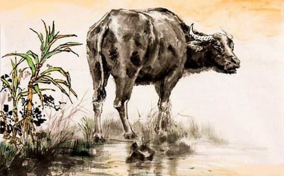  Đôi khi, chính sự chủ quan của bản mệnh lại có thể gây ra những biến số khó lường. Bên cạnh đó, bạn cũng nên cẩn trọng khi kết giao bạn bè, tuyệt đối tránh xa những người đem lại ảnh hưởng tích cực hay tìm cách lợi dụng mình.