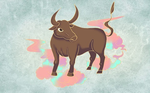 Gợi ý hành động: Không nên đợi gom hết 100% tiền mặt – bạn đã có đủ năng lực vay an toàn (dưới 40%); - Tập trung chọn khu vực tốt về tiện ích, pháp lý rõ – không cần quá đẹp, miễn là sống được lâu dài 