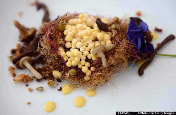 Omnivore là chế độ ăn uống trong đó bạn ăn tất cả mọi thứ: sữa, lúa mì, thịt đỏ, gluten, cá.