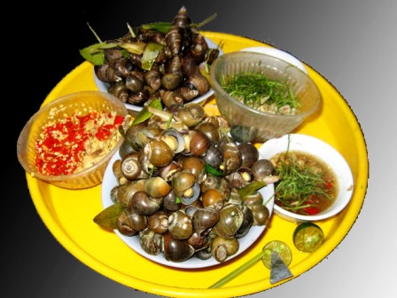 Bạn sẽ xuýt xoa khi thưởng thức bát ốc nóng cùng nước mắm gừng cay cay, với vô vàn kiểu biến tấu như ốc xào me, ốc xào dừa..được ăn kèm sung muối. Những con phố nổi tiếng với món này là Lương Định Của, Cửa Bắc hay Đình Ngang.