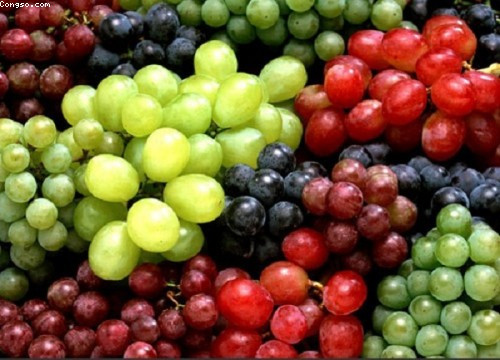 Trong quả nho chứa nguyên tố lycopene chống ung thư, có thể ngăn chặn tế bào ung thư biến đổi di căn.