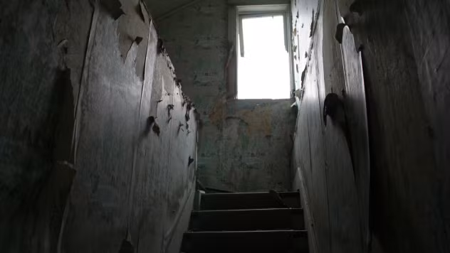 5. William Cunningham, 1 tuổi, bị mất tích khi được bạn của mẹ, Marquita Burch, chăm sóc. Sau nhiều giờ tìm kiếm, họ phát hiện cậu bé đã chết 48 tiếng do xuất huyết não và được giấu trong tủ quần áo.