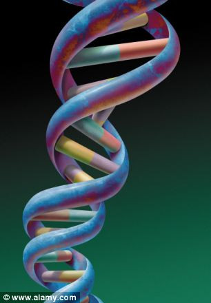 Các nhà khoa học từ Viện Wellcome Trust Sanger ở Cambridge đã phát hiện ra loại gen tên CUX1 có khả năng làm tăng trưởng khối u, từ đó nghiên cứu ra thuốc nhằm ức chế gen này và ngăn ngừa ung thư.