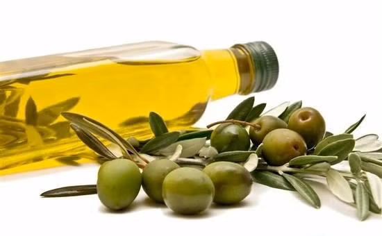 Các loại chất béo có lợi đến từ bơ, cá, đậu, dầu olive là một biện pháp tuyệt vời để ngăn chặn ung thư vú. Chúng tốt cho cơ thể gấp nhiều lần so với những loại chất béo khác trong thức ăn chiên và giàu chất dinh dưỡng.