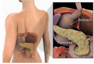 “Các bác sĩ đã gọi điện trực tiếp để thông báo tình hình, điều này làm tôi rất lo lắng”, Cheryl chia sẻ. Cô được chẩn đoán là ung thư tuyến tụy, điều hiếm gặp ở người trẻ tuổi và thường gây tử vong.