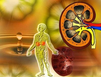 Người bệnh bị suy thận có triệu chứng đau đầu do cao huyết áp, phù mặt, tay chân hoặc bụng, mệt mỏi, đắng miệng, chán ăn, buồn nôn, mờ mắt, đau đầu...