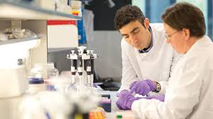 Dựa trên sự ức chế lỗi di truyền gen CUX1, các nhà nghiên cứu khai thác sức mạnh của việc kết hợp gen ung thư quy mô lớn với di truyền học thực nghiệm để tìm ra phương pháp điều trị hiệu quả hơn.