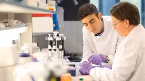 Dựa trên sự ức chế lỗi di truyền gen CUX1, các nhà nghiên cứu khai thác sức mạnh của việc kết hợp gen ung thư quy mô lớn với di truyền học thực nghiệm để tìm ra phương pháp điều trị hiệu quả hơn.