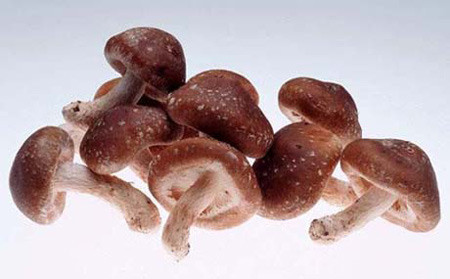 Các polysaccharide trong nấm có khả năng hoạt hóa miễn dịch tế bào, thúc đẩy quá trình sinh trưởng và phát triển của tế bào lympho, kích hoạt tế bào lympho T và lympho B. Tăng cường khả năng miễn dịch của cơ thể đối với các bệnh ung thư.